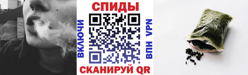 Купить где  Рошаль  Бутират 99% 