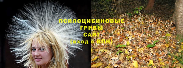 прущие крисы Лагань