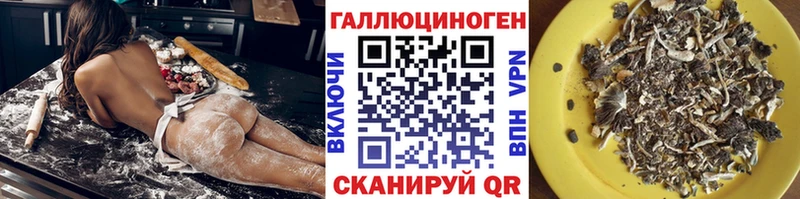 Псилоцибиновые грибы мицелий  Купить закладки  Рошаль 